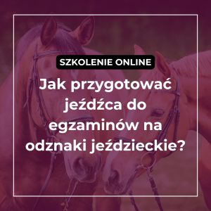 Szkolenie online: Jak przygotować jeźdźca do egzaminów na odznaki jeździeckie?